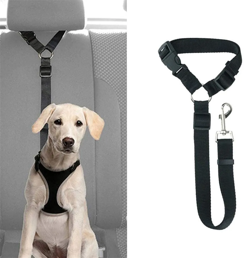 Las mejores ofertas en Cinturones de Seguridad Coche para Perros